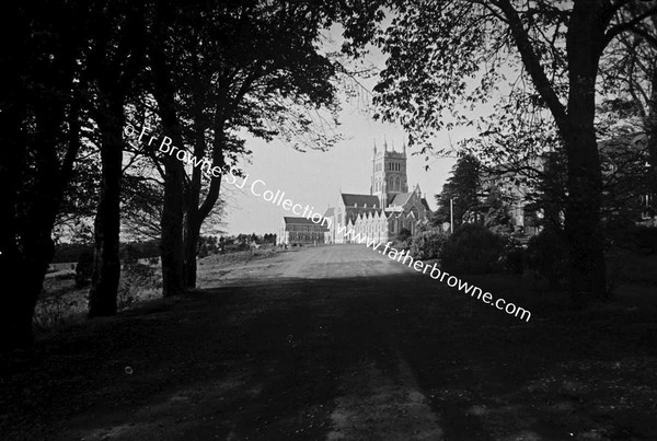 MT MELLARY  ABBEY  APPROACHING UNDER TREES